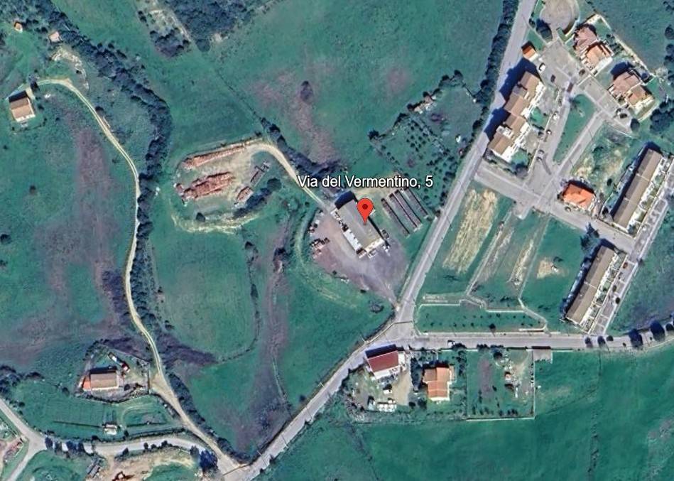 immagine annuncio 2 di 15