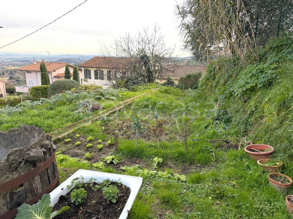 immagine annuncio 10 di 12