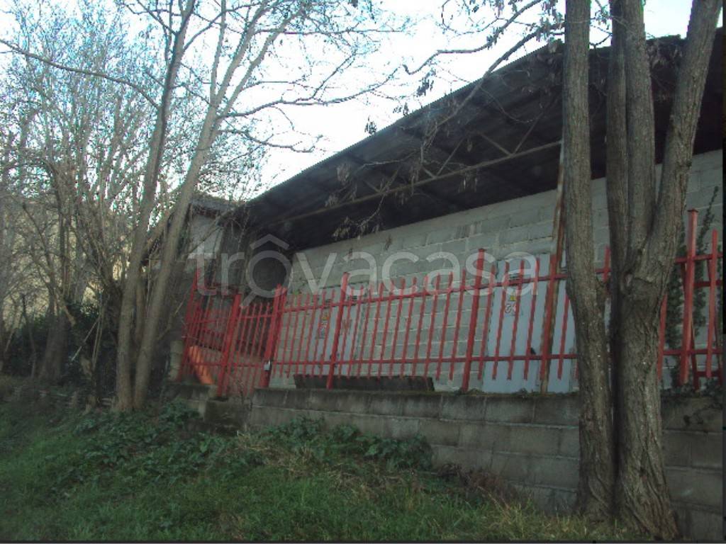 immagine annuncio 6 di 13