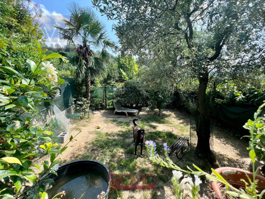 immagine annuncio 5 di 15