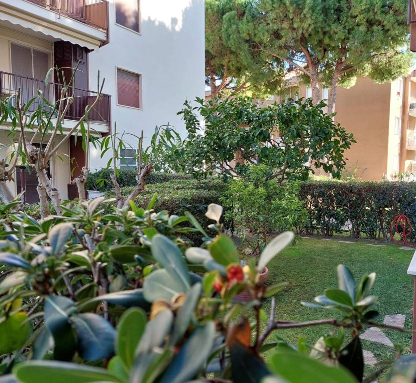 immagine annuncio 4 di 8