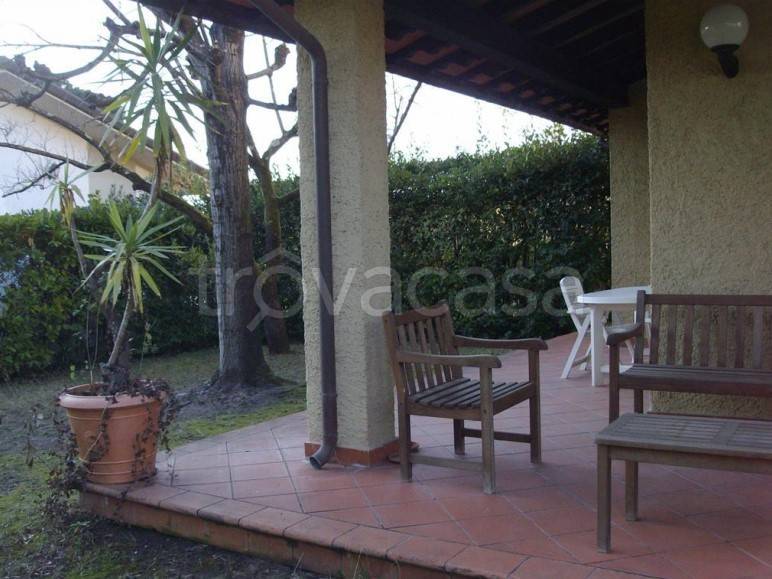 immagine annuncio 2 di 14