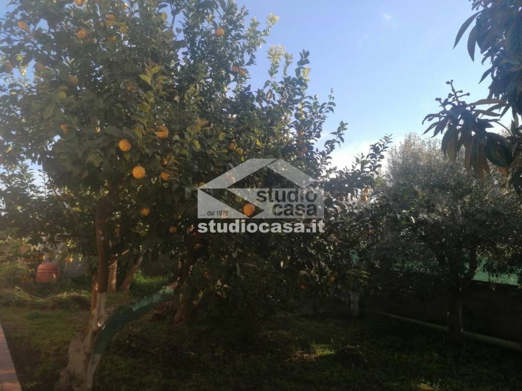 immagine annuncio 3 di 9