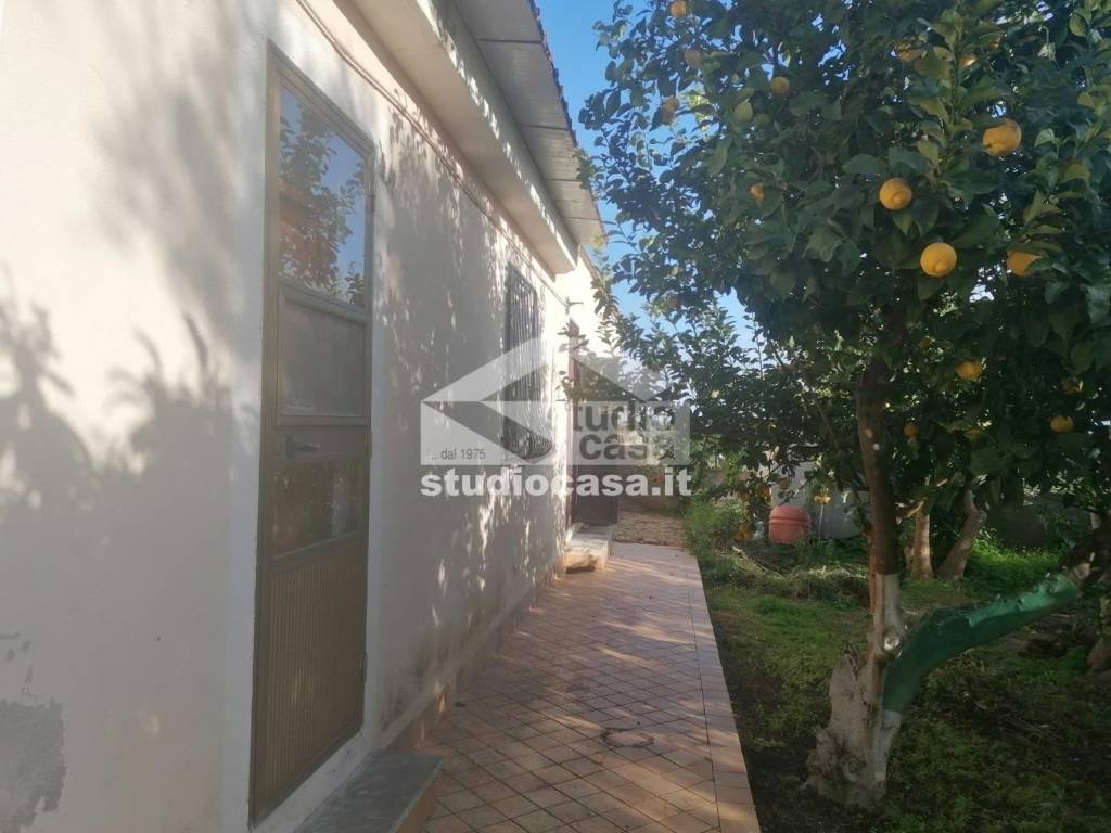 immagine annuncio 4 di 9