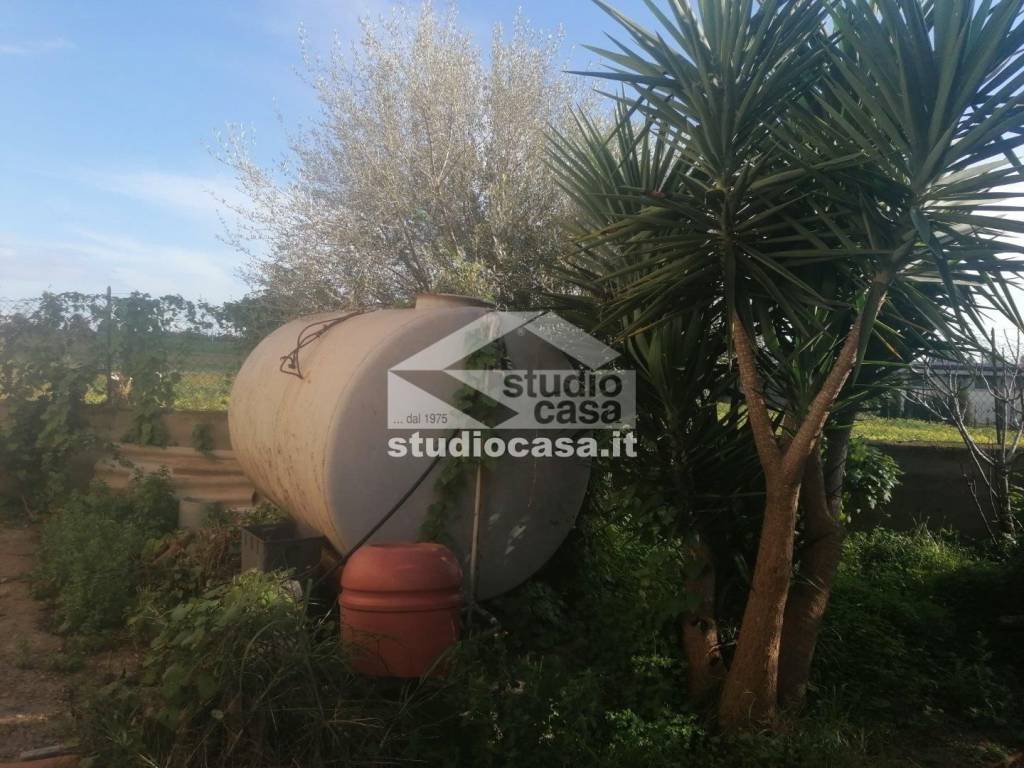 immagine annuncio 5 di 9