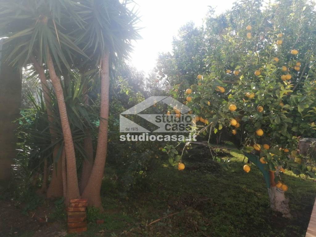 immagine annuncio 6 di 9