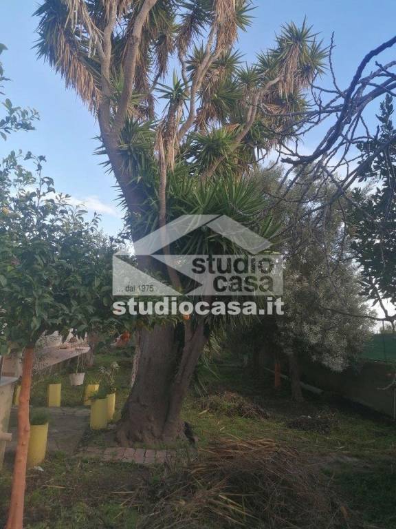 immagine annuncio 7 di 9