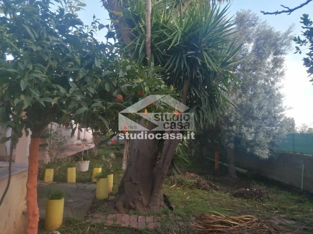 immagine annuncio 8 di 9