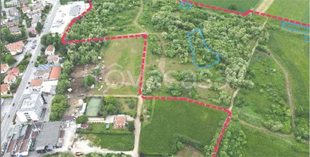 immagine annuncio 2 di 10