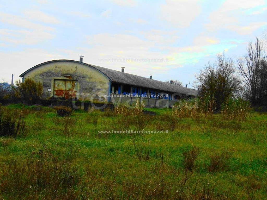 immagine annuncio 2 di 7