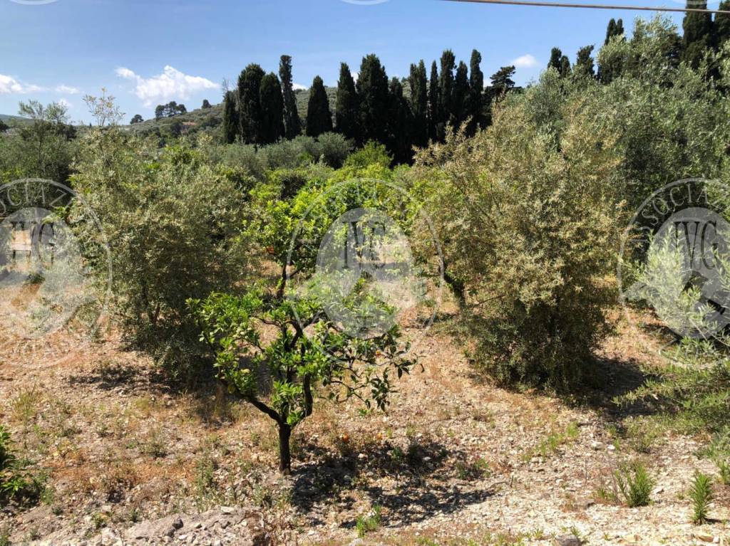 immagine annuncio 8 di 13