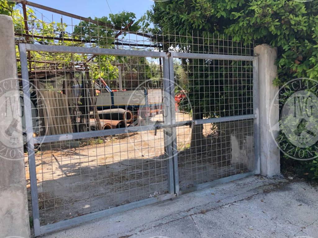 immagine annuncio 9 di 13