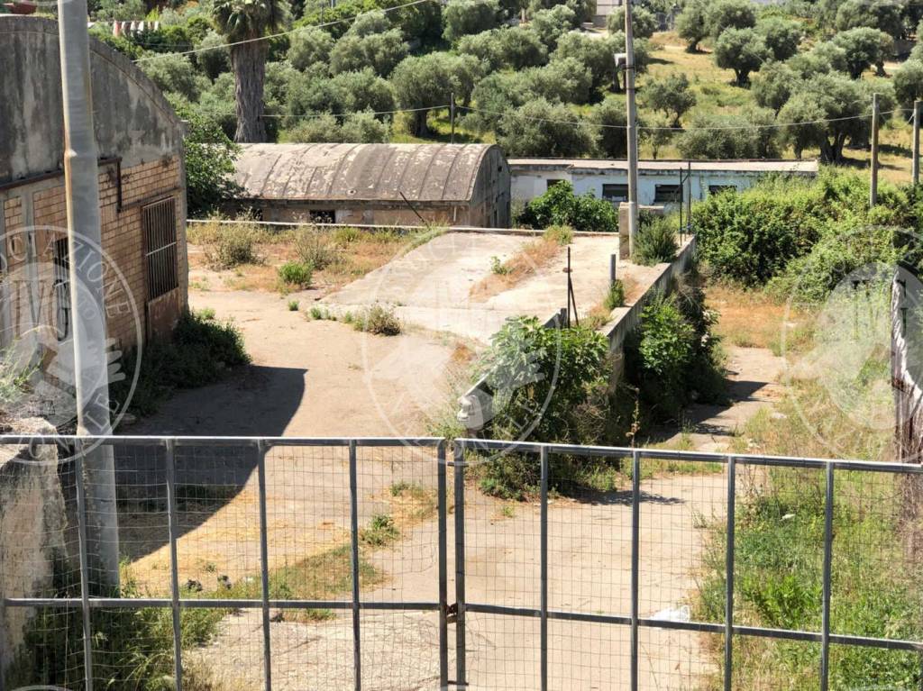 immagine annuncio 11 di 13