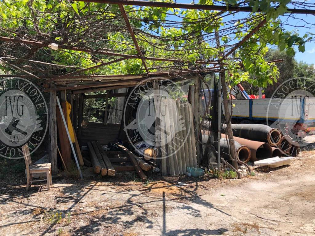 immagine annuncio 12 di 13