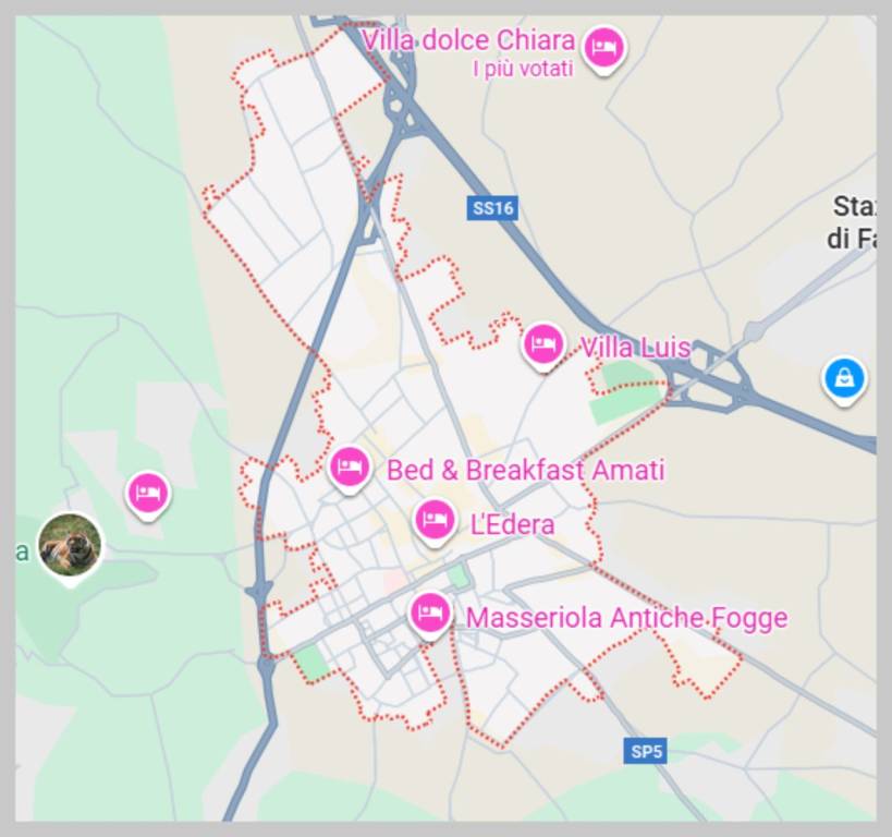 immagine annuncio 11 di 15