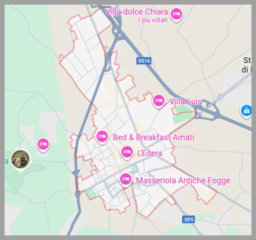 immagine annuncio 8 di 15