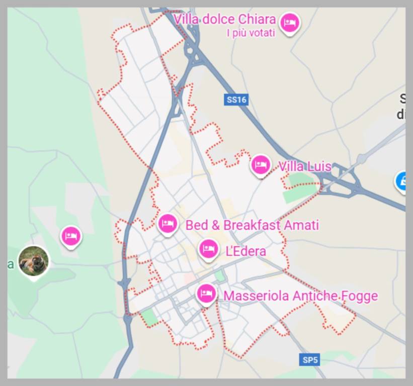 immagine annuncio 5 di 15