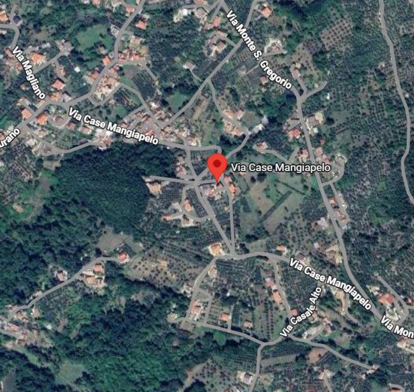 immagine annuncio 5 di 11