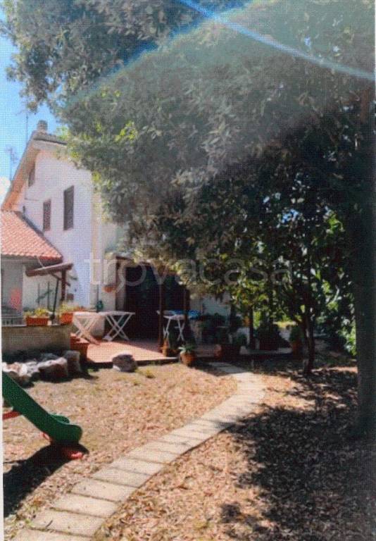 immagine annuncio 4 di 12