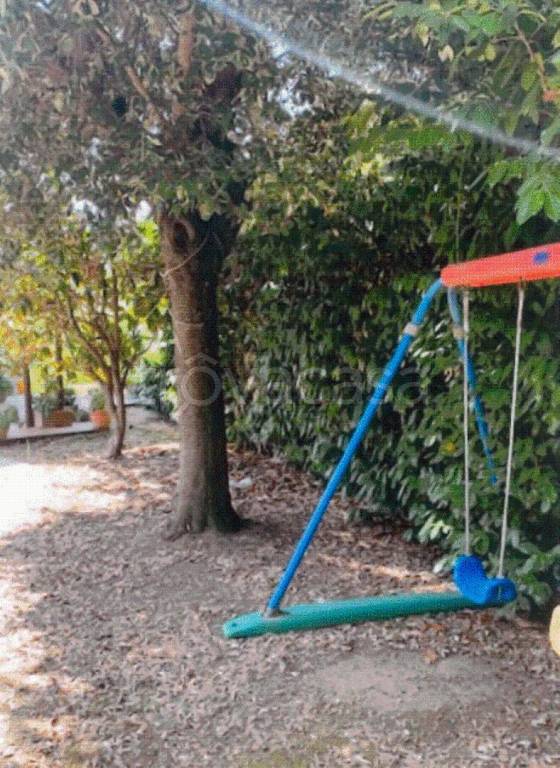 immagine annuncio 9 di 12