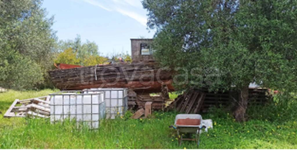 immagine annuncio 1 di 11