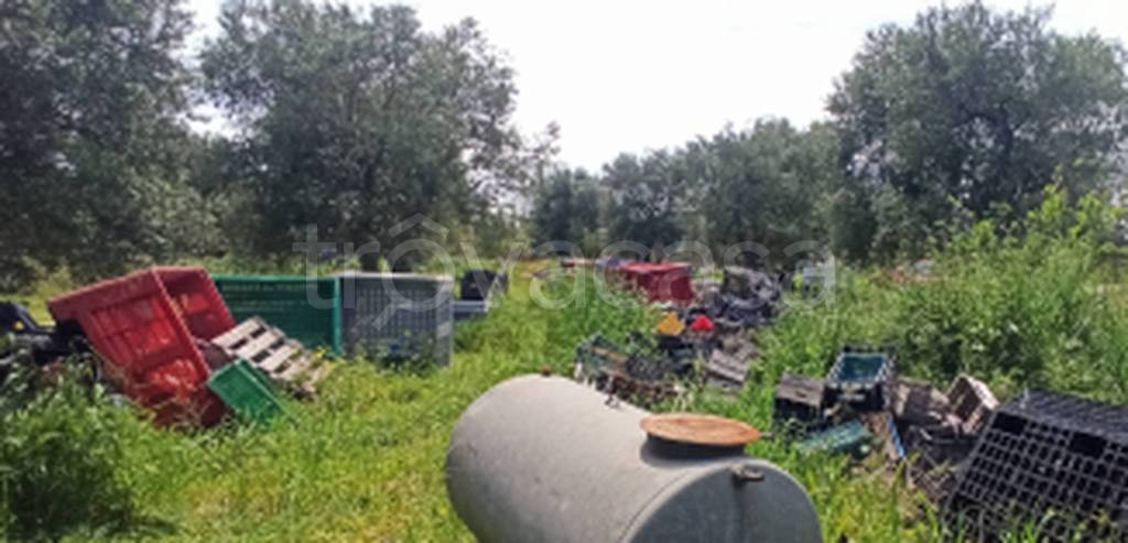 immagine annuncio 2 di 11