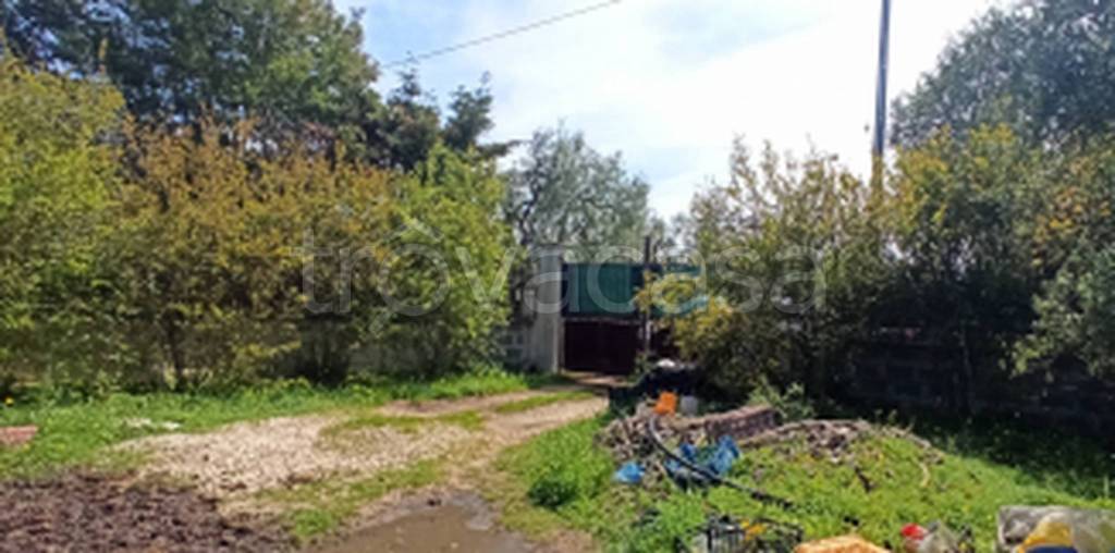 immagine annuncio 5 di 11