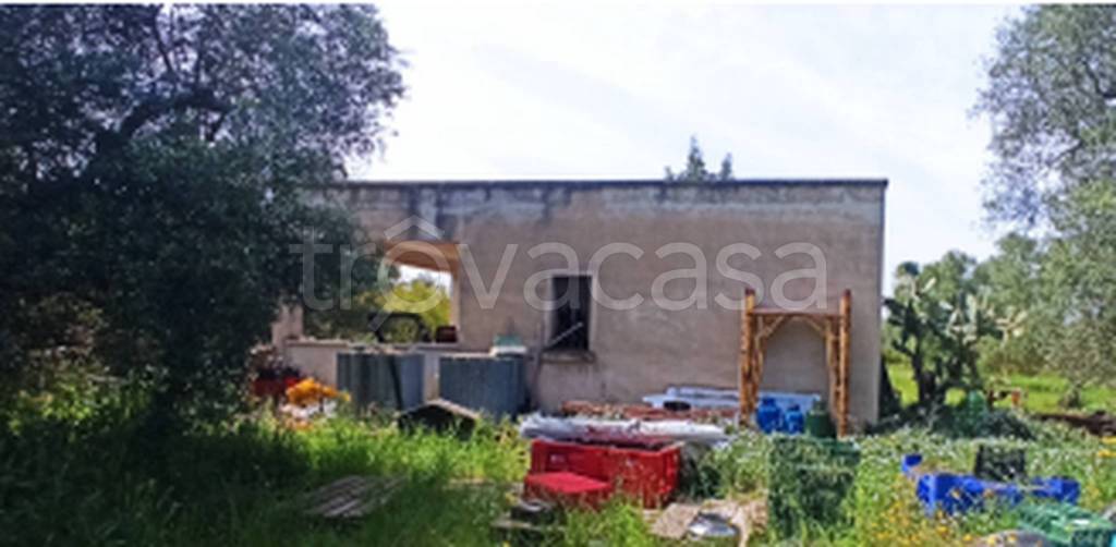 immagine annuncio 6 di 11