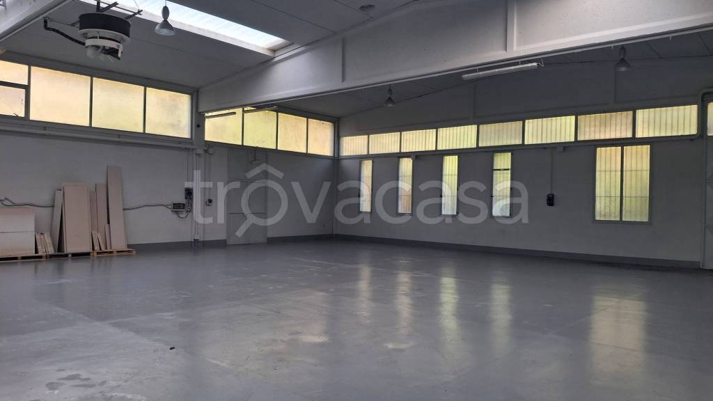 immagine annuncio 5 di 14