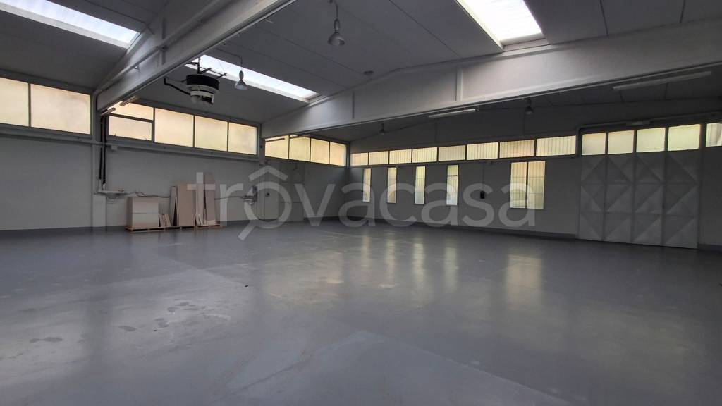 immagine annuncio 2 di 14