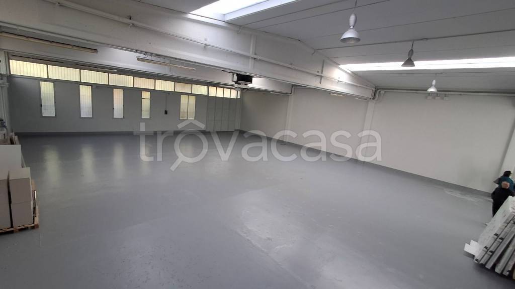 immagine annuncio 12 di 14