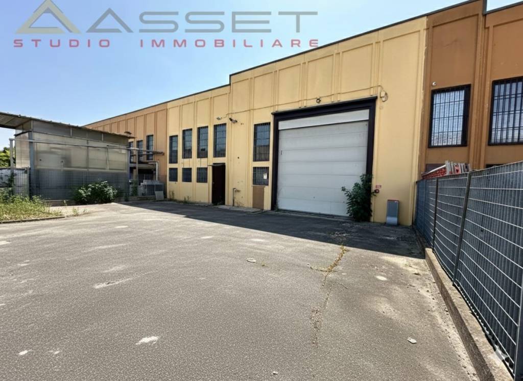 immagine annuncio 8 di 11