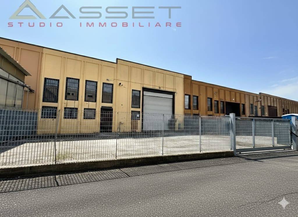 immagine annuncio 7 di 11