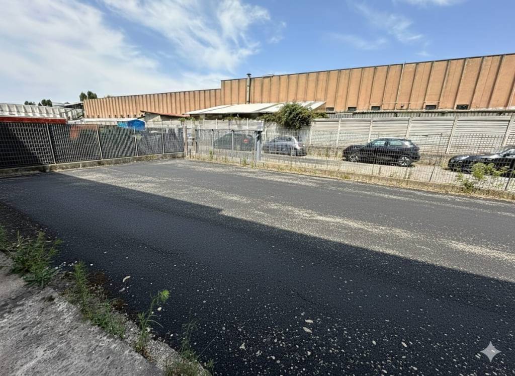 immagine annuncio 9 di 11