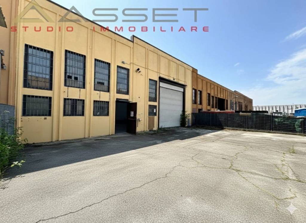 immagine annuncio 10 di 11