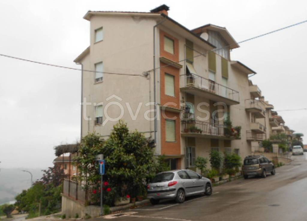 immagine annuncio 9 di 11