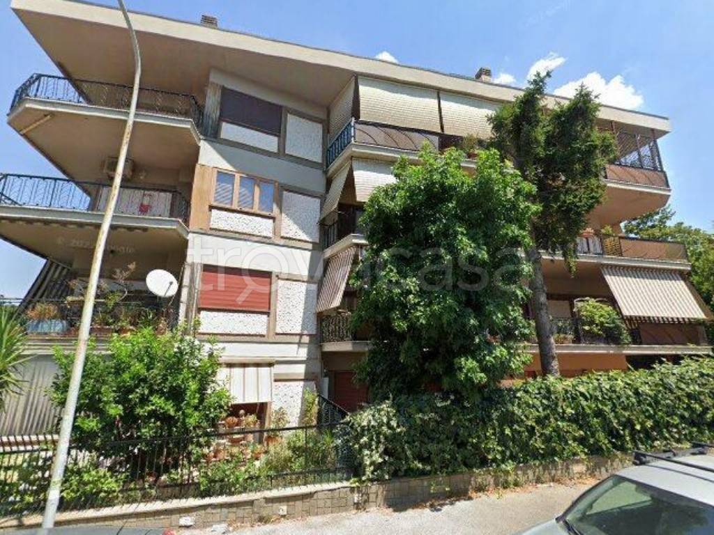 immagine annuncio 12 di 13