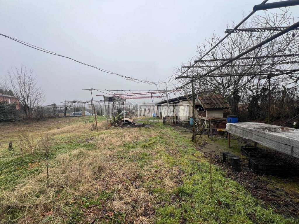 immagine annuncio 6 di 15