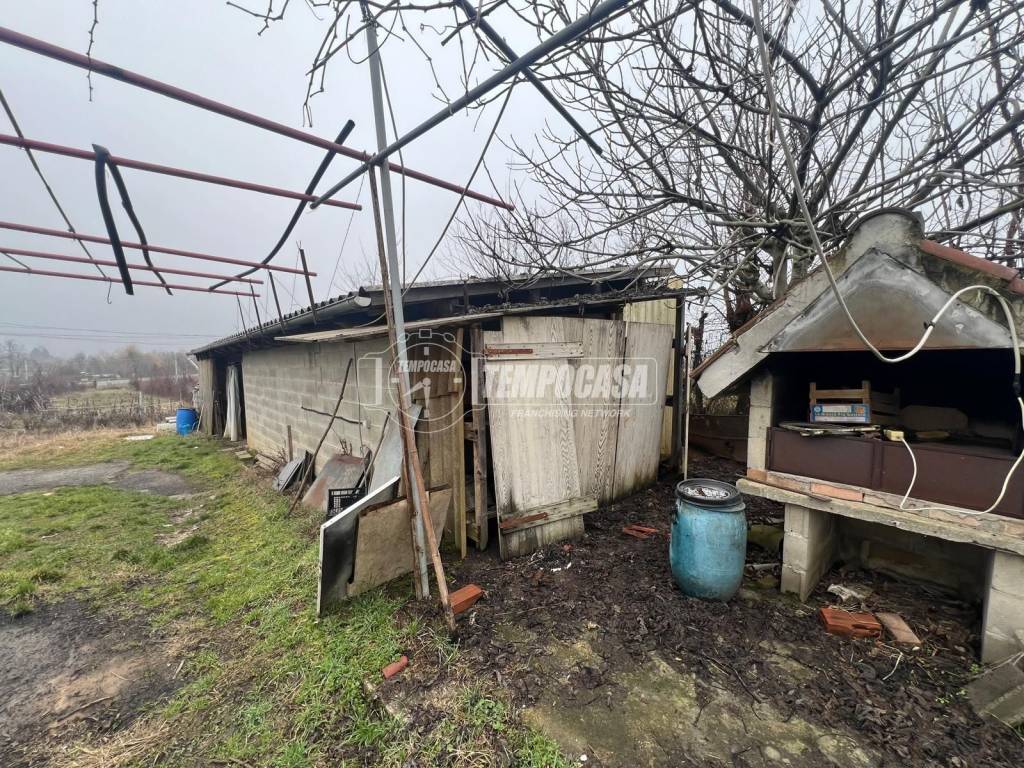 immagine annuncio 10 di 15