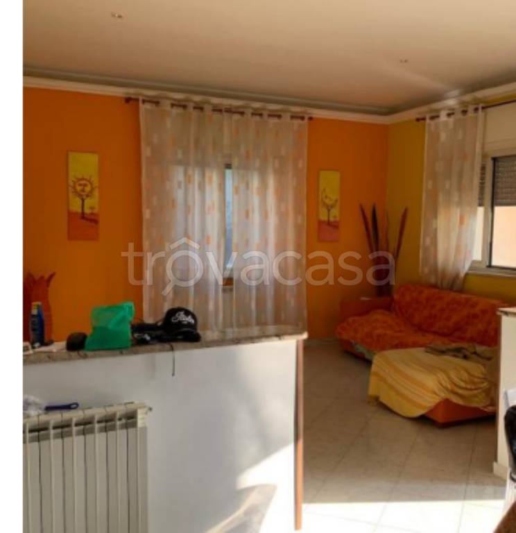 immagine annuncio 2 di 12