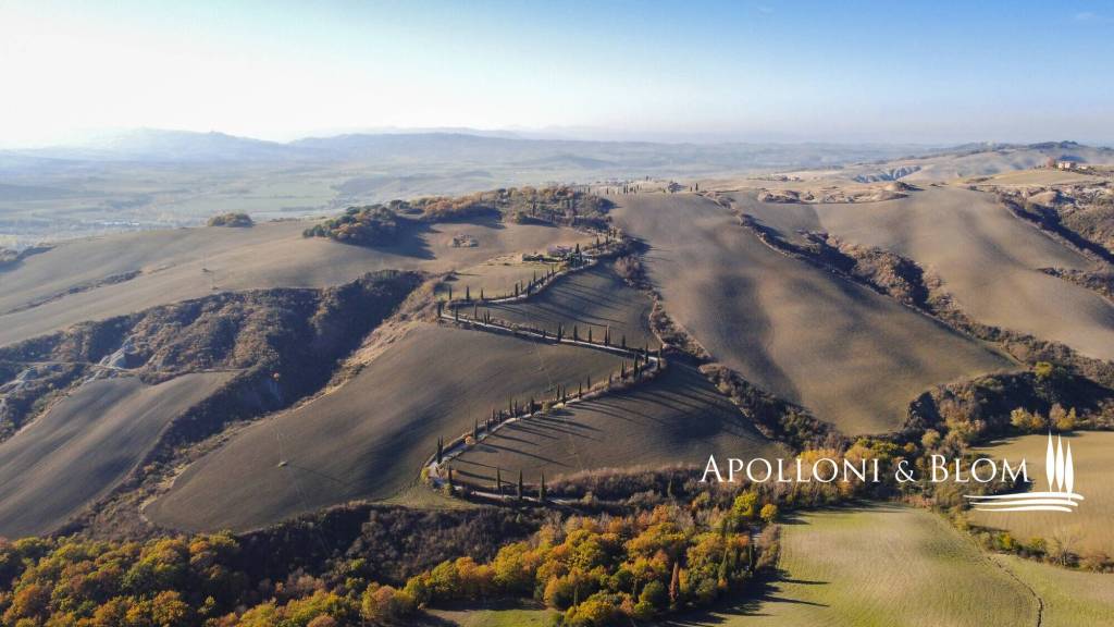 immagine annuncio 4 di 6