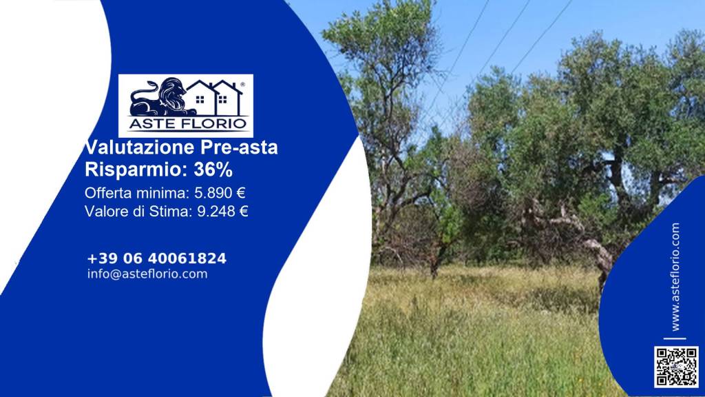 immagine annuncio 1 di 11