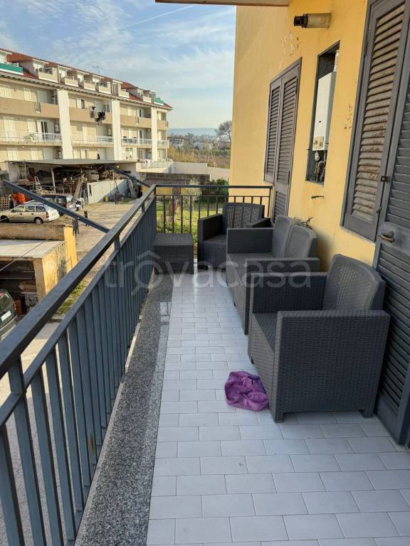 immagine annuncio 1 di 14