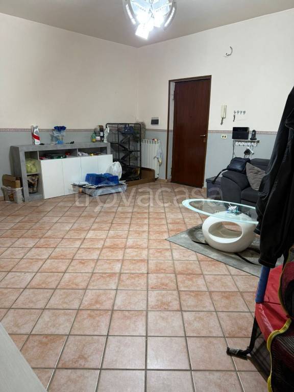 immagine annuncio 4 di 14