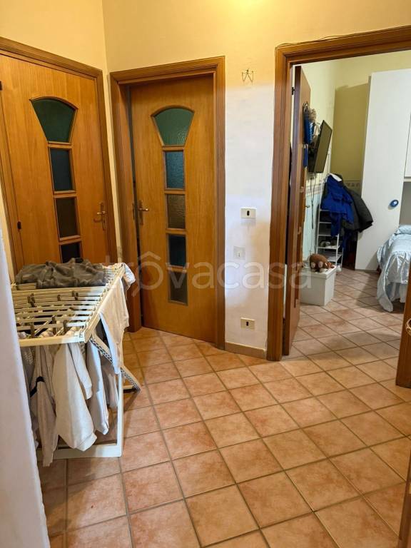 immagine annuncio 6 di 14