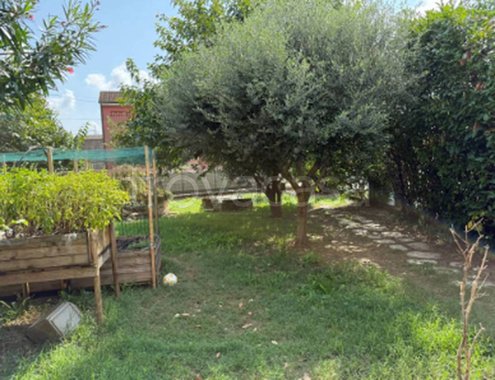 immagine annuncio 6 di 11