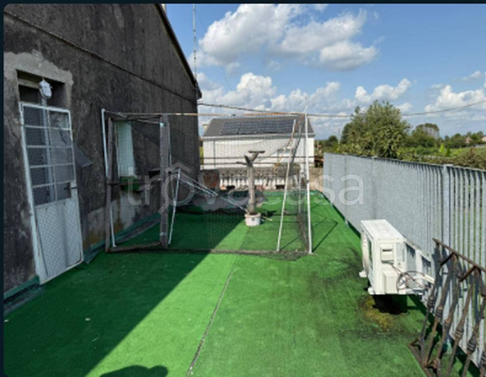 immagine annuncio 10 di 11