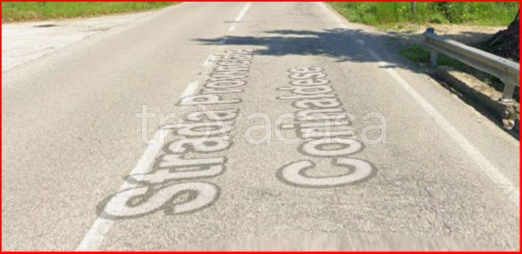 immagine annuncio 3 di 11