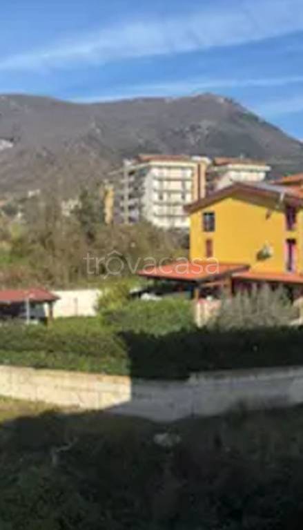 immagine annuncio 9 di 12