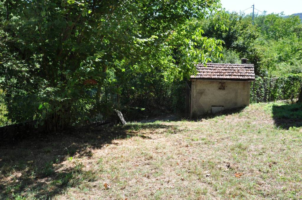 immagine annuncio 8 di 12